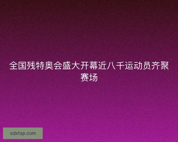 全国残特奥会盛大开幕近八千运动员齐聚赛场